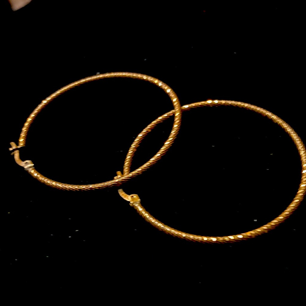 Elegant Gold Hoop Earrings